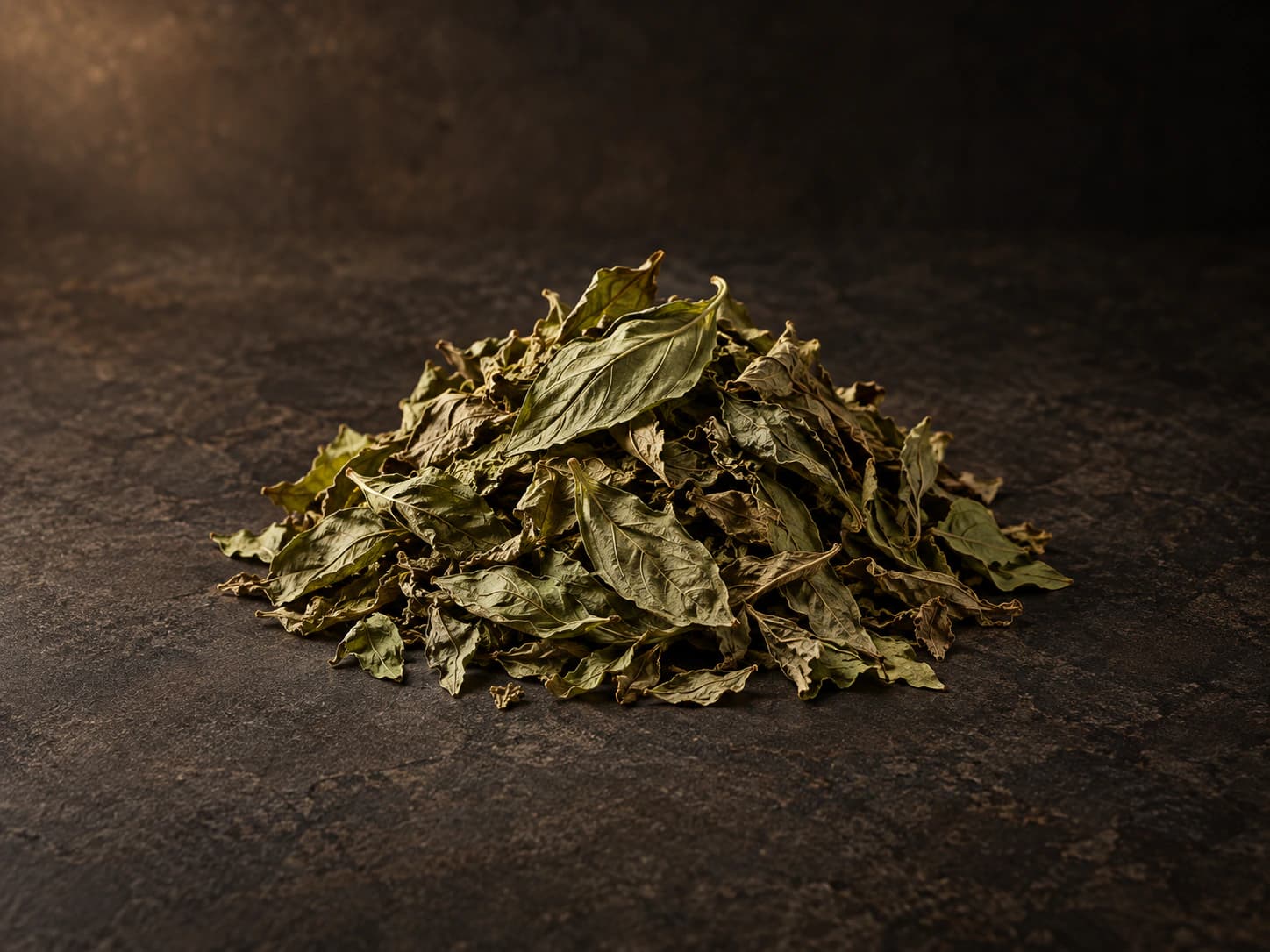 Basil botanical specimen