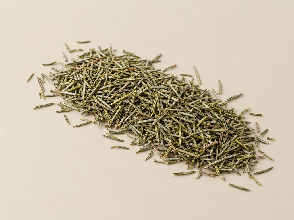 Rosemary botanical specimen