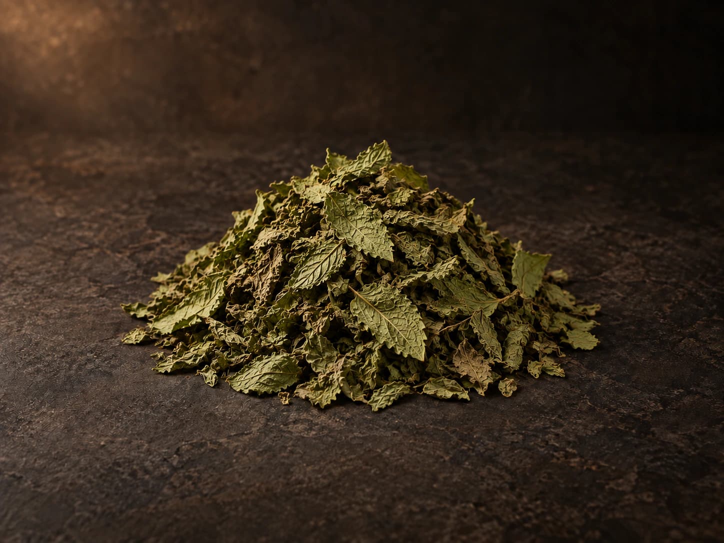 Spearmint botanical specimen